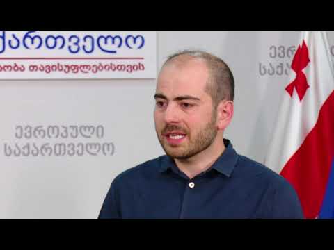 \"გზა, რაც აირჩია ივანიშვილმა, არ შეესაბამება არამხოლოდ საქართველოს, არამედ ევროკავშირის ინტერესებს\"