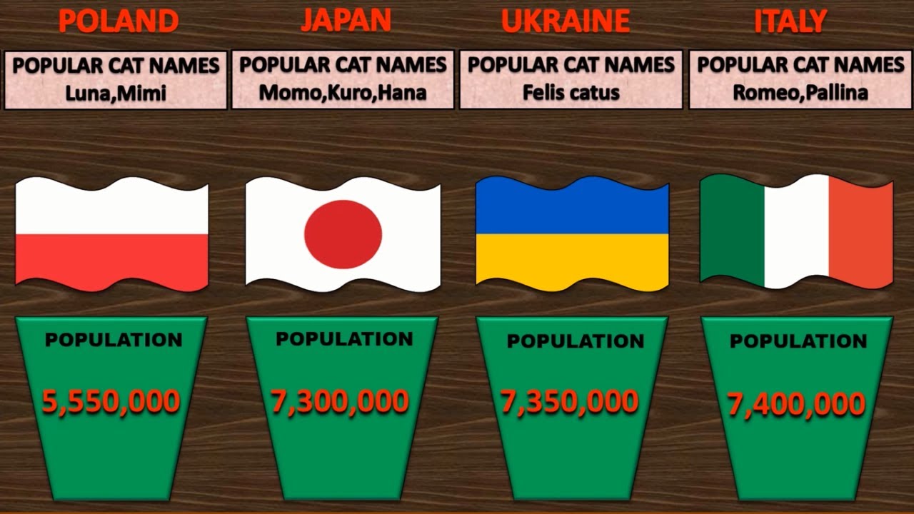 Population Comparison Cat Population By Country Countries With Most population-comparison-cat-population-by-country-countries-with-most