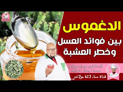 الدغموس بين فوائد العسل وأضرار العشبة مع الدكتور عماد ميزاب