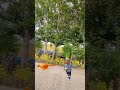 Videos that children love to watch 3-year-old baby dancing videos Tik Tok videos that children l