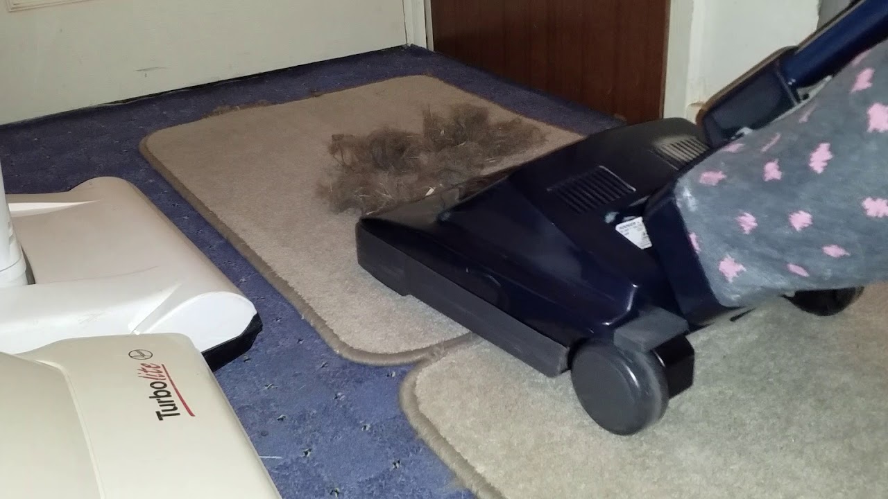 Part 3 of New Hoover Junior Featuring Amazing Natural Dirt Mess Test and Dog Hair Test * MUST