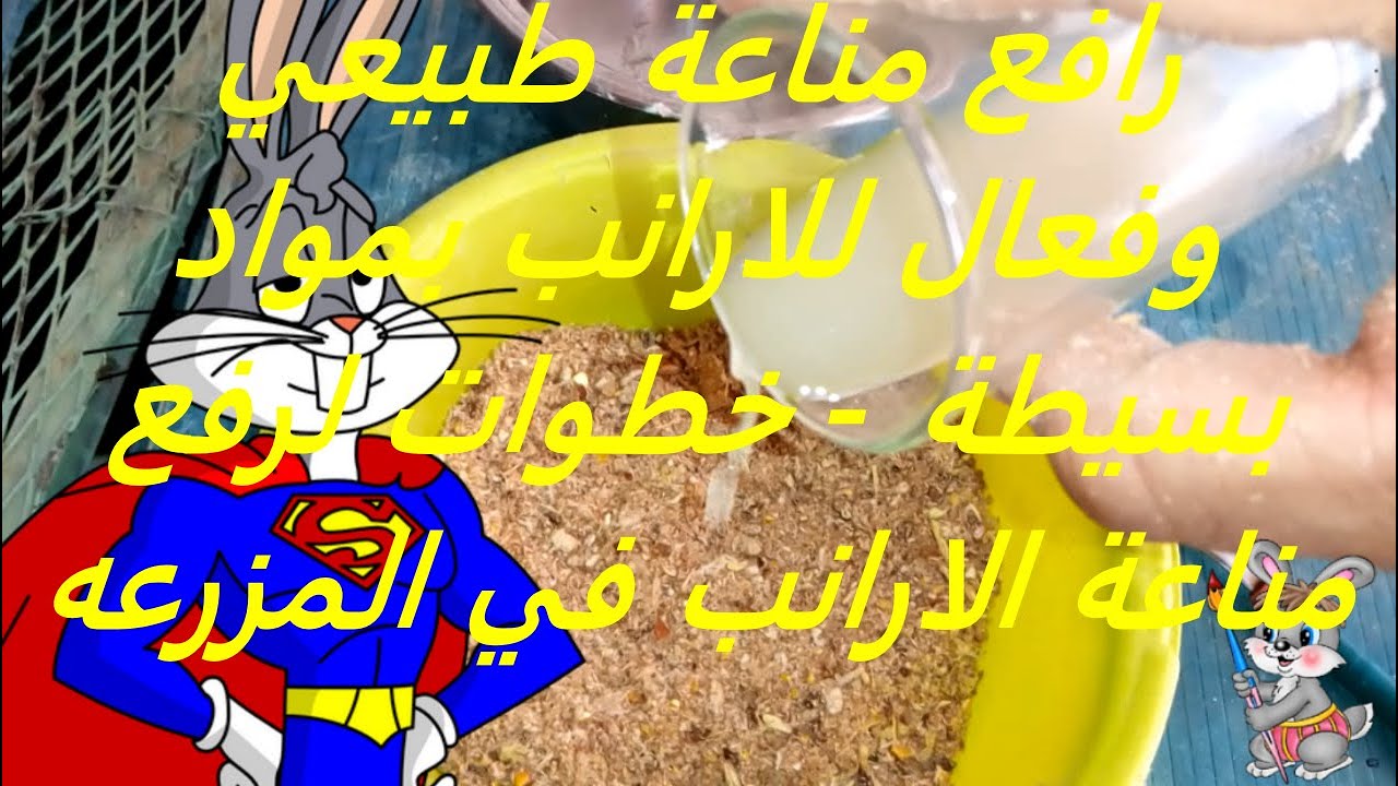 رافع مناعة طبيعي وفعال للارانب بمواد بسيطة - خطوات لرفع مناعة الارانب في المزرعه