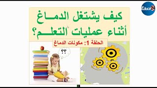 سلسلة : كيف يشتغل الدماغ أثناء عمليات التعلم ؟ الحلقة (1): مكونات الدماغ