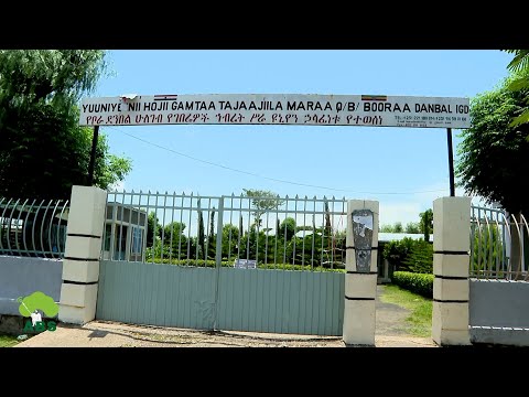 ማስታወቅያ የቦራ ደንበል ሁለገብ የገበሬዎች ኅብረት ሥራ ዩኒየን 