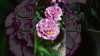 #egzonibrahimi#قران_كريم#قرآن#قرآن_كريم#سورة_الفتح#اكسبلور#لايك#v#الرحمن#متابعه#المصحف#سوريا#مصر#fyp