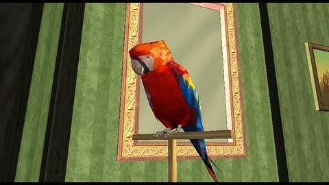 GTA San Andreas : Famous Quotes from Scarface Reference