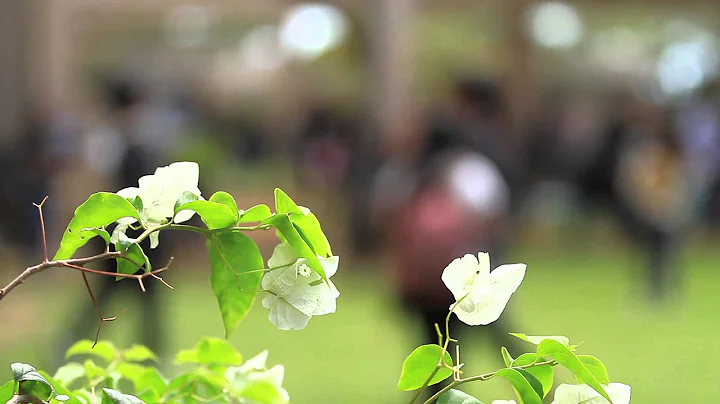 Introducing: My Future Hawai'i