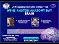 Fibers tracts of the brain and Its importance in Neurosurgery