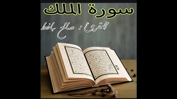 آيات من الذكر الحكيم ( سورة الملك )