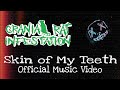 Skin of My Teeth (Official Music Video)