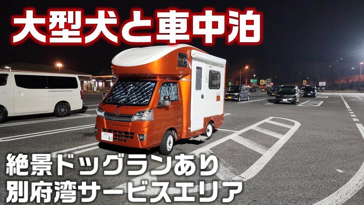 JPSTAR Happy1 軽キャンピングカーで大型犬と車中泊　ドッグランもある別府湾サービスエリア