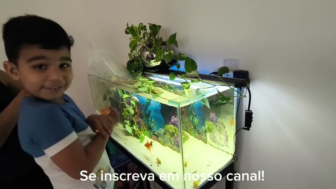 Comprando Peixes para o aquário com Cauã Farias!