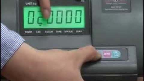 A12 Scale Calibration