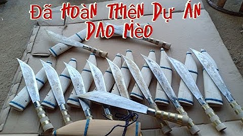 Dao mèo đi rừng đã xong