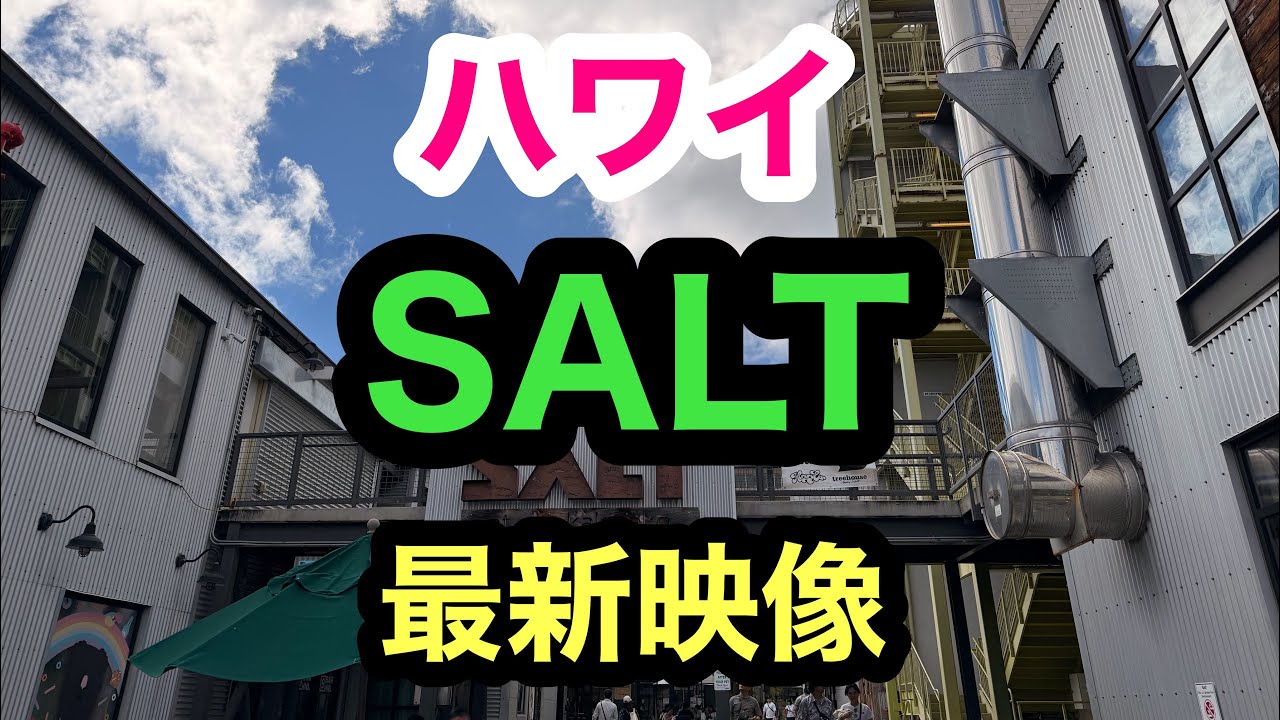 ハワイ　SALT 最新映像2026   【SALT   HAWAII 】