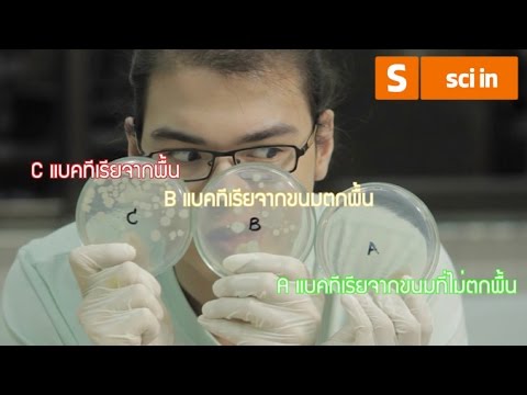 sci in [by Mahidol] แบคทีเรียไม่อันตราย?
