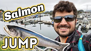 Alaska Cruise Day 5: Salmon JUMPING and The Totem Trail in Sitka!!