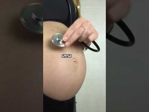 How To Hear Puppies Heartbeat Through Stethoscope