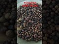 Trái Đủng đỉnh đã sao vàng hạ thổ (0985113004)