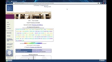 Alternative Input: Fasta Sequence