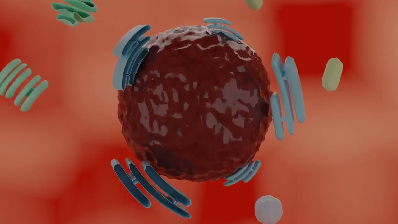 Nuclear Matrix and S/MAR 3D Animation