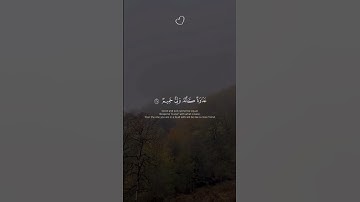 #قرآن #سورةـ فصلت #quran