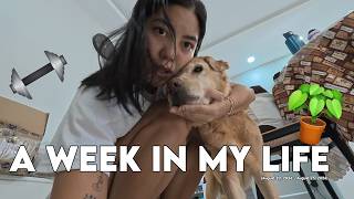 MY LAST VLOG WITH OUR BOCHI BEAR ❤️‍🩹😔 | A WEEK IN MY LIFE (AUG 2026)