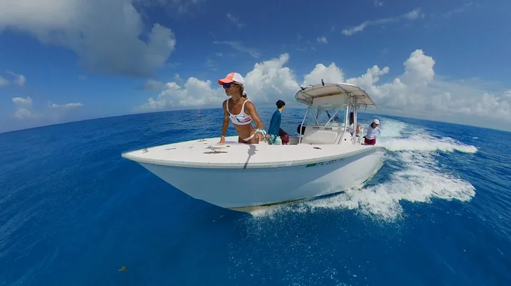 Blue World in the Lower Florida Keys