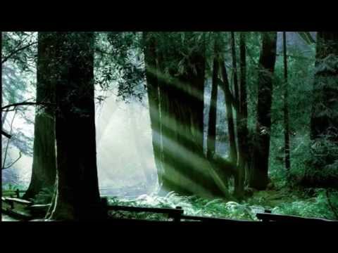 FF6 Orchestral Remix: The Mystical Phantom Forest