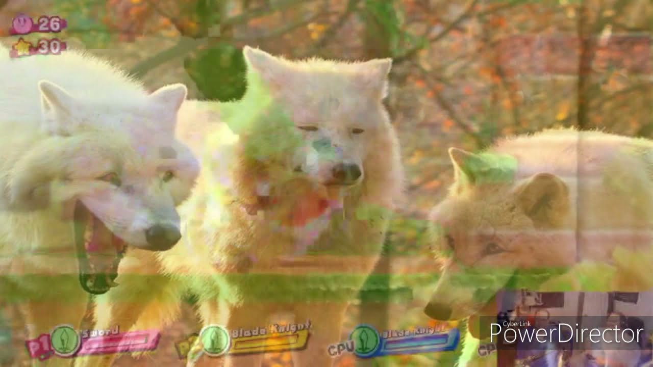 CHUMBRELLA | 3-22-22 HIGHLIGHTS