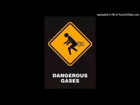 pet autotune