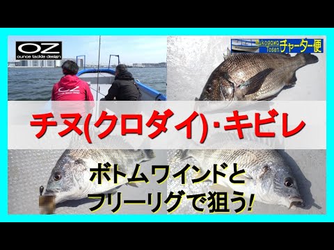 ボトムワインドとフリーリグで狙うチヌ クロダイ とキビレ 武庫川渡船チャーター船 Youtube