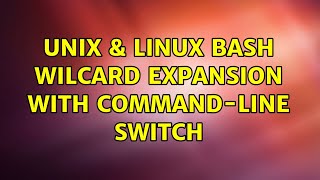 Unix & Linux: Bash wilcard expansion with command-line switch (2 Solutions!!)