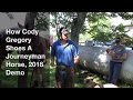 How Cody Gregory Shoes A Journeyman Horse, 2018 Demo