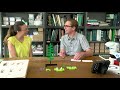 view Fern Life Cycle and Biodiversity ft. Smithsonian Scientist Eric Schuettpelz digital asset number 1