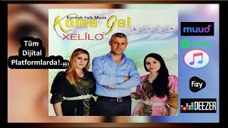 Koma Gel - Nizanım