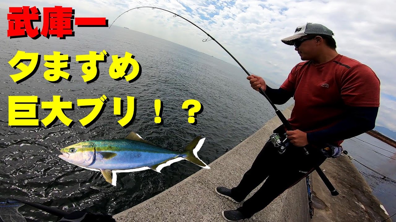 大阪湾青物最前線 武庫川一文字でショアジギング 夕まずめに巨大ブリ出現 Youtube