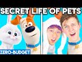 SECRET LIFE OF PETS WITH ZERO BUDGET! (LANKYBOX MOVIE PARODY)