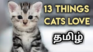 13 things cats love | Tamil | cat facts