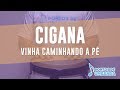 CIGANA - VINHA CAMINHANDO A PÉ