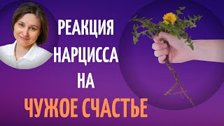 Реакция нарцисса на ваше счастье.