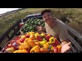 WELCOME TO FALL VEGETABLE HARVEST