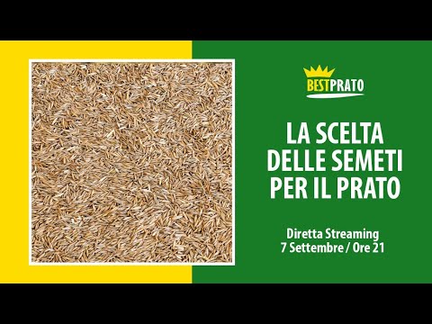 Video: Ariete per erba ordinaria: descrizione, proprietà utili