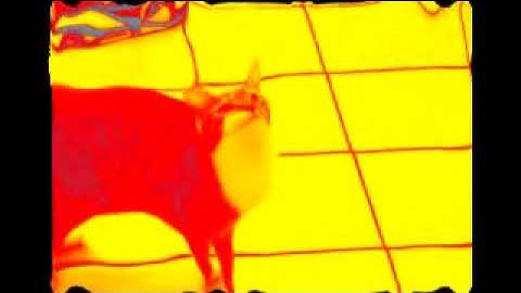 Shortest Video On YouTube Parts (1-100) in Jesus christ