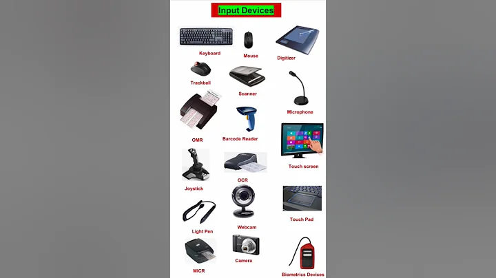 Input Devices || Basic Computer Knowledge Part 3 #computer #basics #notes