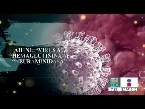Video: Prašičja Gripa (gripa H1N1) - Simptomi, Vzroki In Zdravljenje