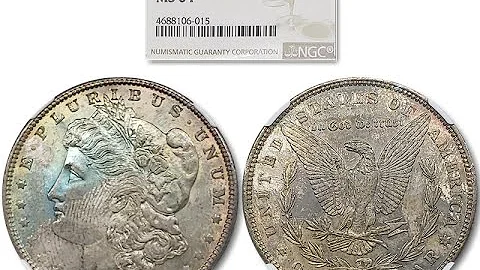 Beautifully Toned 1886 Morgan Silver Dollar $1 - NGC MS-64
