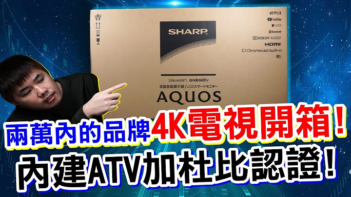 4K Android TV - 智能联网安卓电视 Sharp 4T-C50BJ3T 支援Netflix 4k + Dolby Audio认证 - 天天要闻