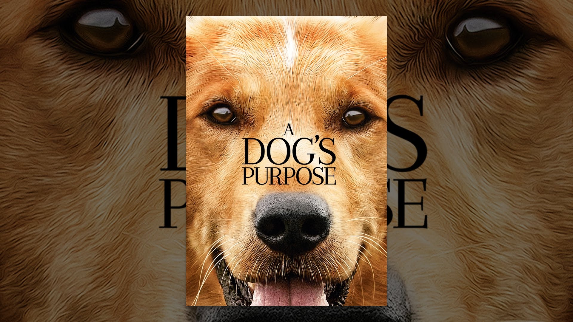A Dog's Purpose