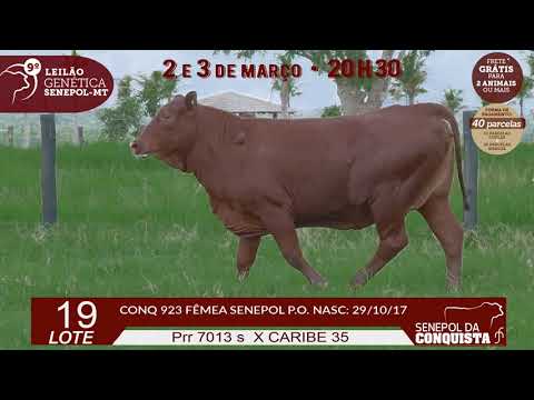 LOTE 19 CONQ 923